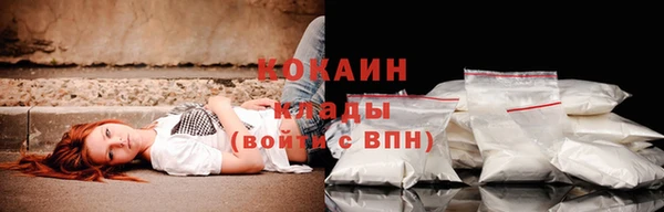 эйфоретик Белокуриха