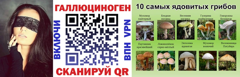 Псилоцибиновые грибы мицелий Чкаловск
