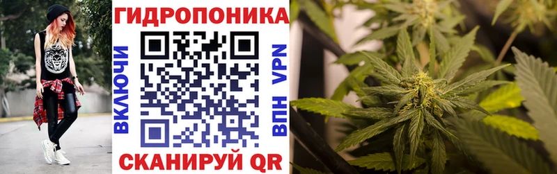 Канабис план  Чкаловск 